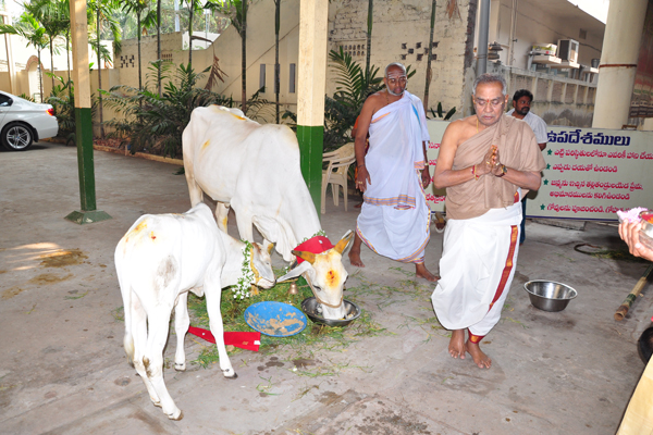 Go Seva